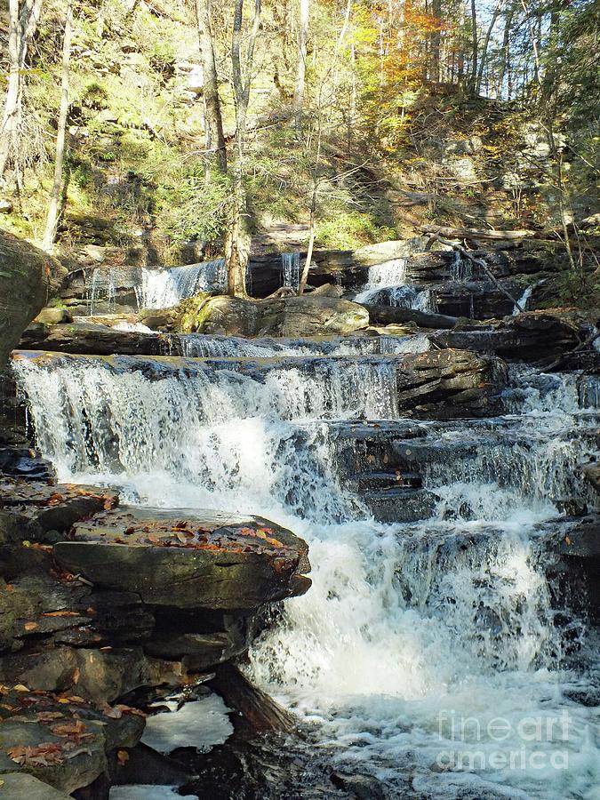 Waterfall Photograph - Delaware 5 - Ricketts Glen by Cindy Treger