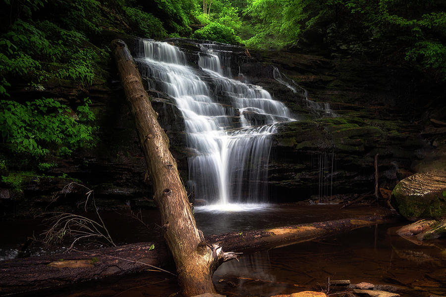 Seneca Falls No1 Ricketts Glen PA Photograph by Michael Demagall - Pixels