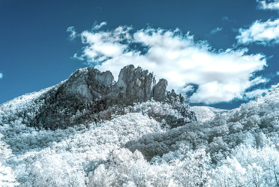 Seneca Rocks in Infrared Photograph by Guy Whiteley