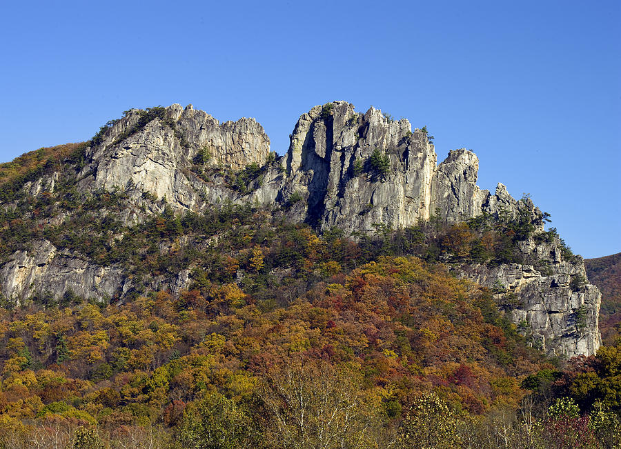 Seneca Rocks Photograph - Seneca Rocks West Virginia  by Brendan Reals