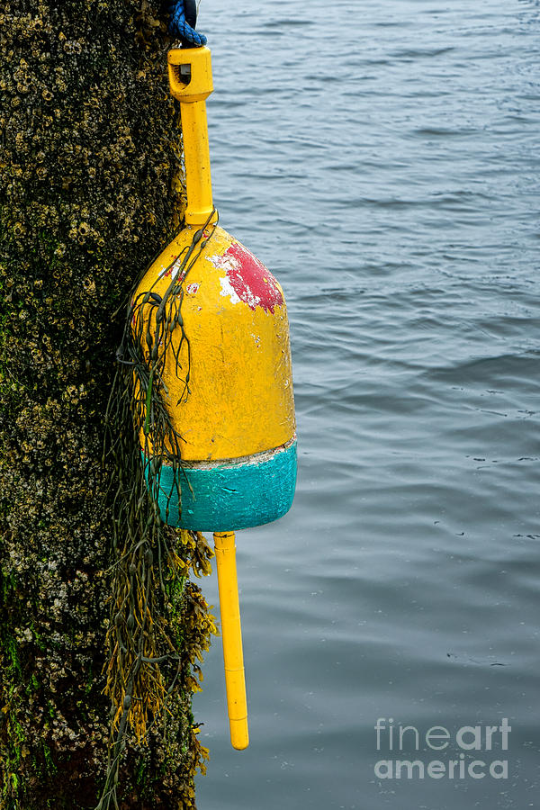 Senior Buoy   Photograph by Olivier Le Queinec