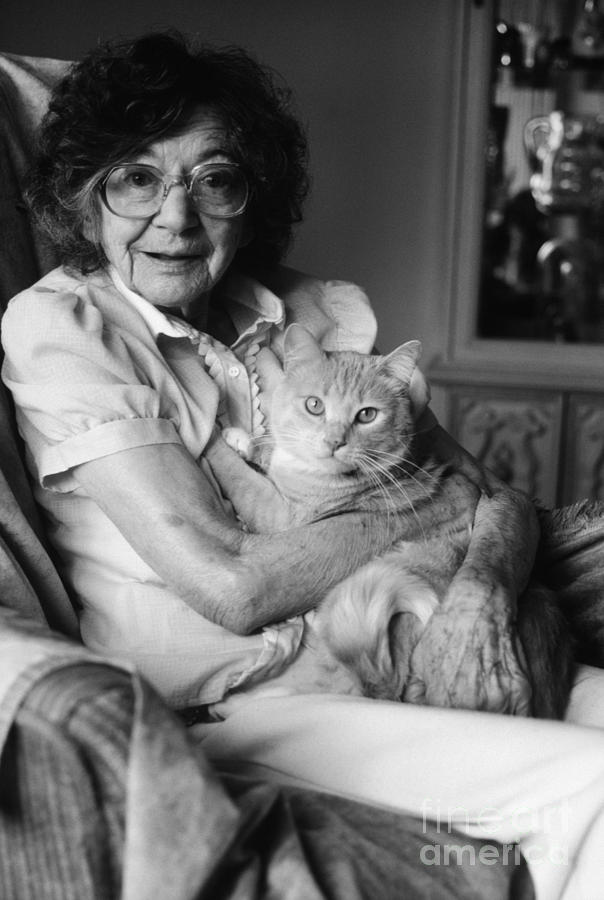 Animal Photograph - Senior Woman With Cat, C.1980s by H. Armstrong Roberts/ClassicStock