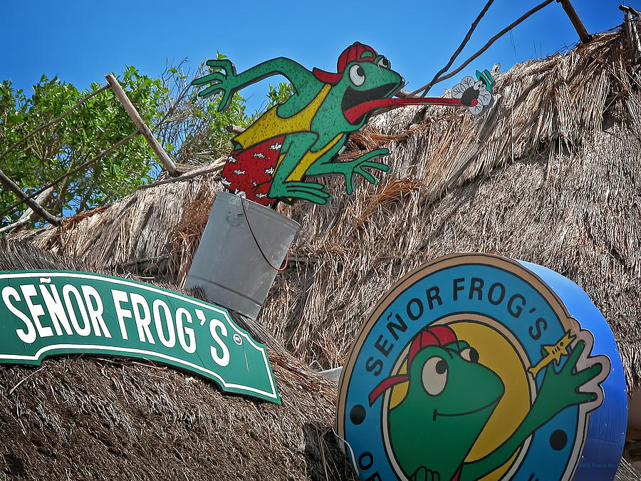 Senor Frogs - Playa del Carmen Photograph by Frank Mari