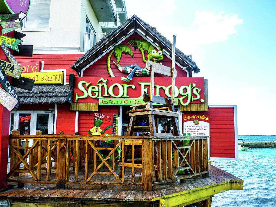 Senor Frogs Photograph by Bill Rogers