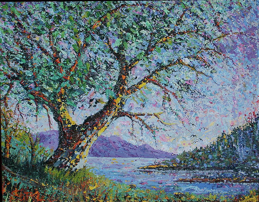 Senore Impasto s Tree Painting by Sal Caruso Fine Art America