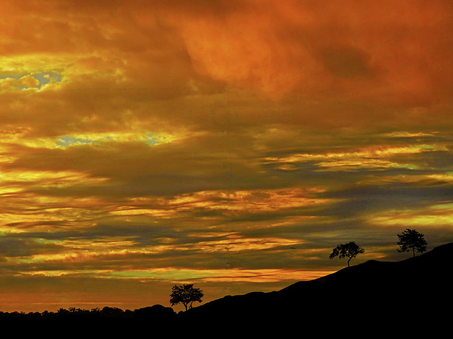 Sensational Sunrise Photograph by Mark Blauhoefer