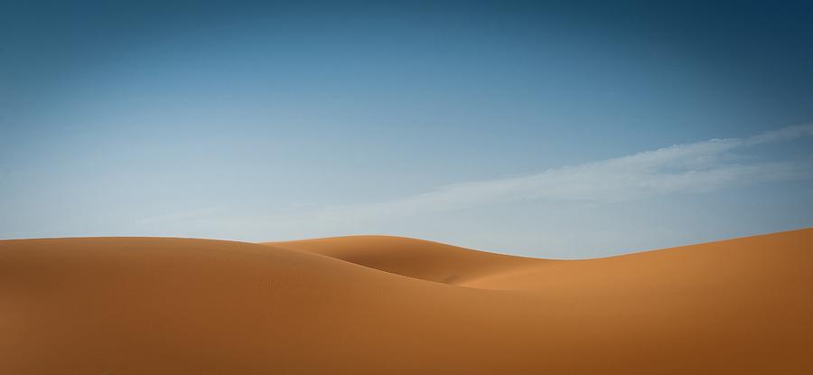 Sensual Desert Photograph by Jorge Ruiz-dueso