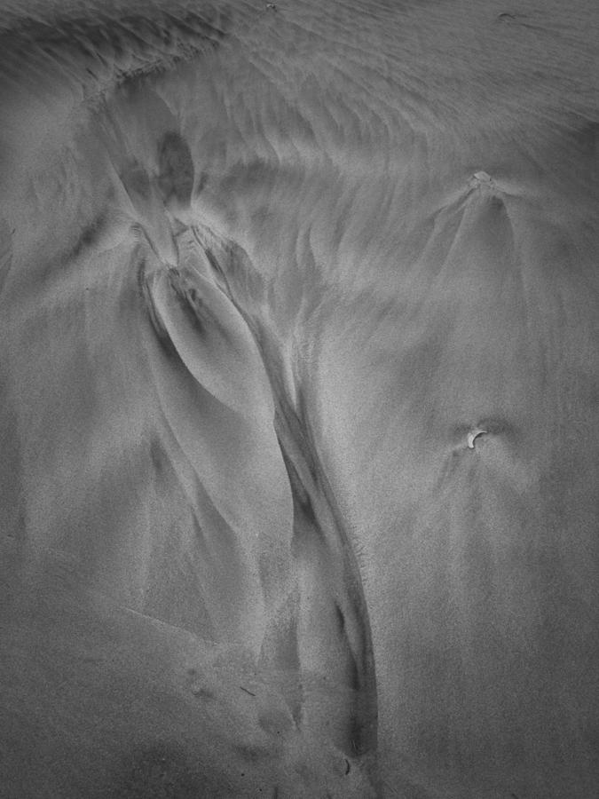 Sensual Sand Photograph by David Kay