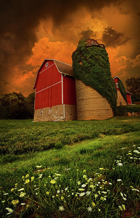 Sentient Photograph by Phil Koch