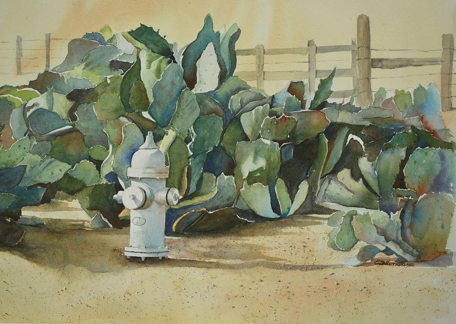 The Cactus Patch  Painting by E M Sutherland