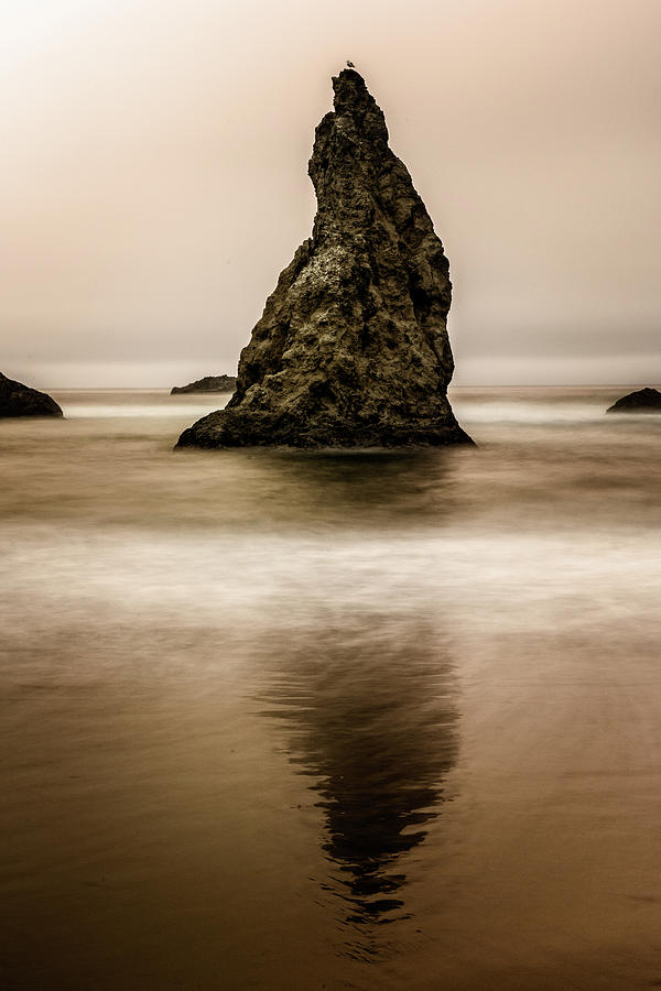 Sentinal of the Sea - Witches Hat Photograph by George Buxbaum