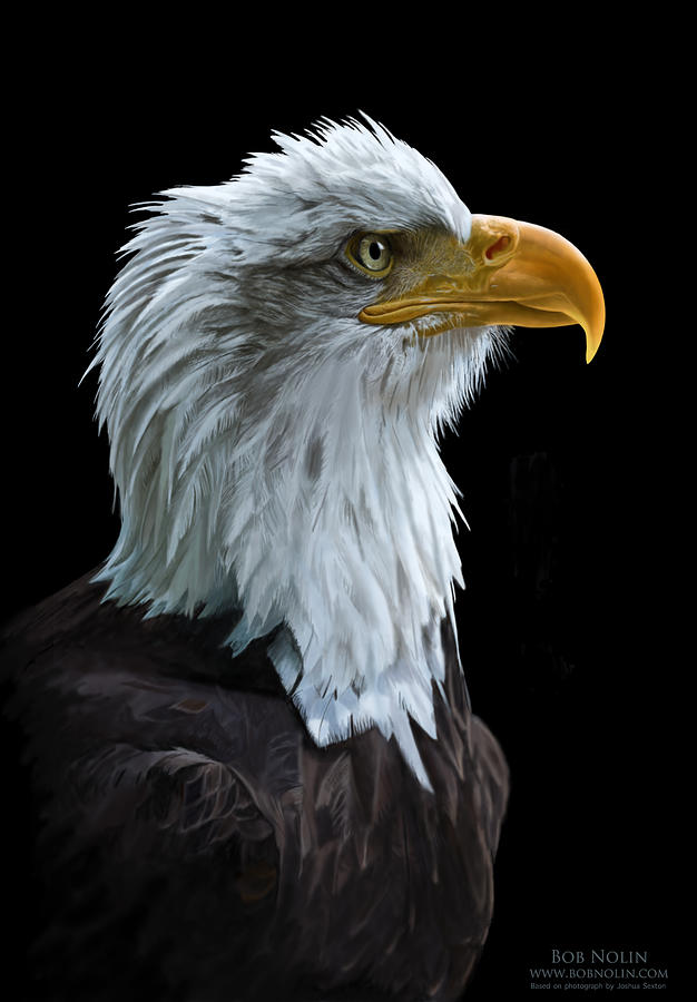 Eagle Digital Art - Sentinel by Bob Nolin