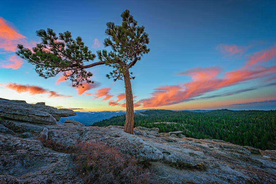 Yosemite National Park Photograph - Sentinel Dawn by Rick Berk