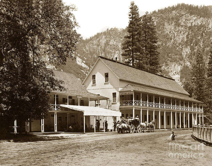 Sentinel Hotel Photograph - Sentinel Hotel and Ivy and River cottages circa 1895 by Monterey County Historical Society