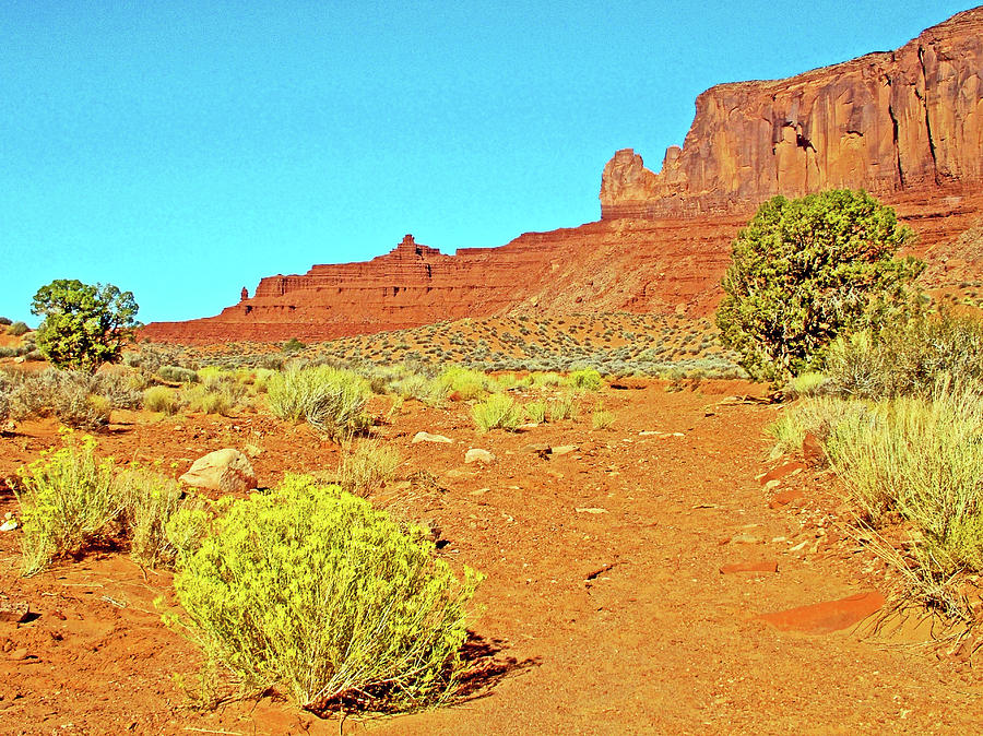 Sentinel Mesa from Wildcat Trail in Monument Valley Navajo Tribal Park-Arizona Photograph by Ruth Hager
