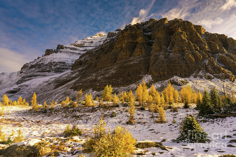 Sentinel Pass Pinnacle Peak Golden Autumn Light Photograph by Mike Reid
