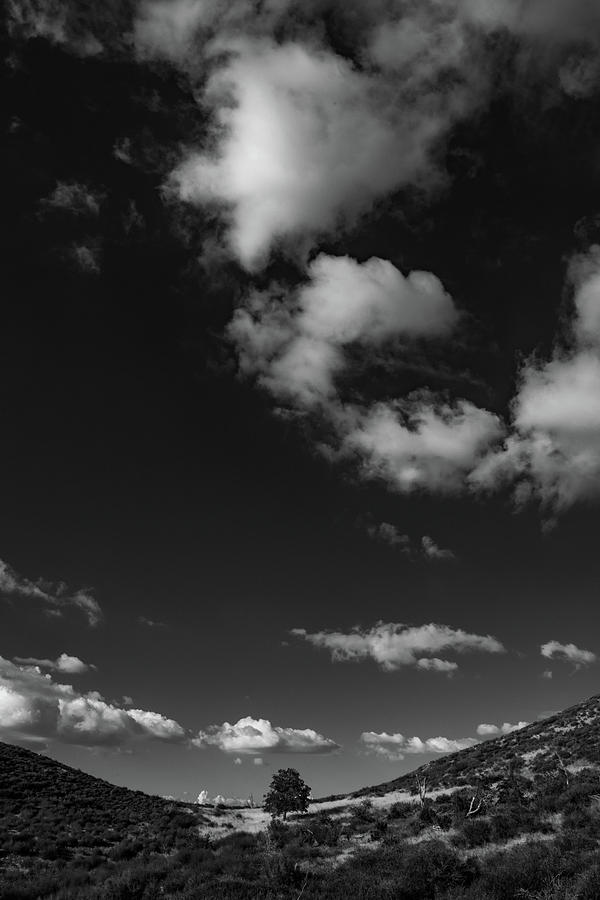 Sentinels Expanse Photograph by TM Schultze