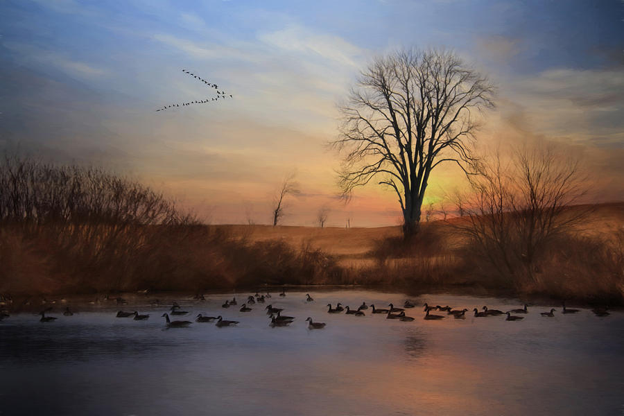 Goose Photograph - Sentinels of Spring by Lori Deiter