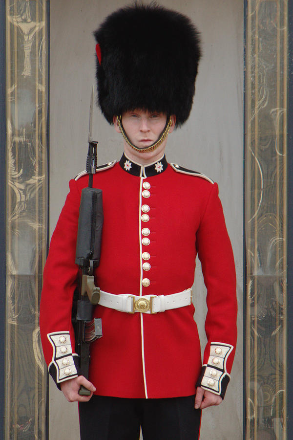 Sentry At Buckingham Palace Photograph by Adrian Wale
