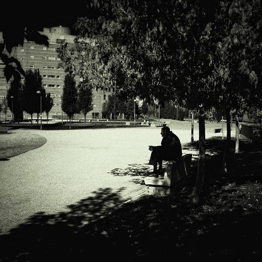 Landscape Photograph - Señor
#city #park #urban #bench by Rafa Rivas Landscape Photograph - Señor
#city #park #urban #bench by Rafa Rivas