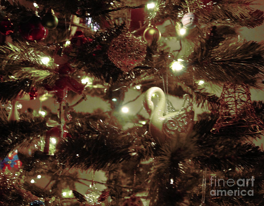 Sepia Christmas Tree Photograph by Cassandra Buckley