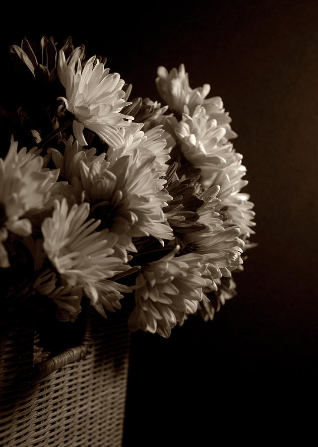Flowers Photograph - Sepia Flowers by Jessica Wakefield Flowers Photograph - Sepia Flowers by Jessica Wakefield