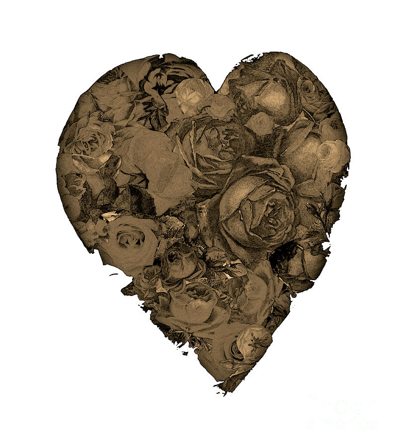 Sepia Heart With Roses Mixed Media by Christine Perry