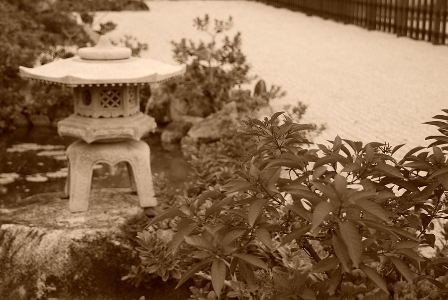 Tree Photograph - Sepia Japanese Garden by Rob Hans