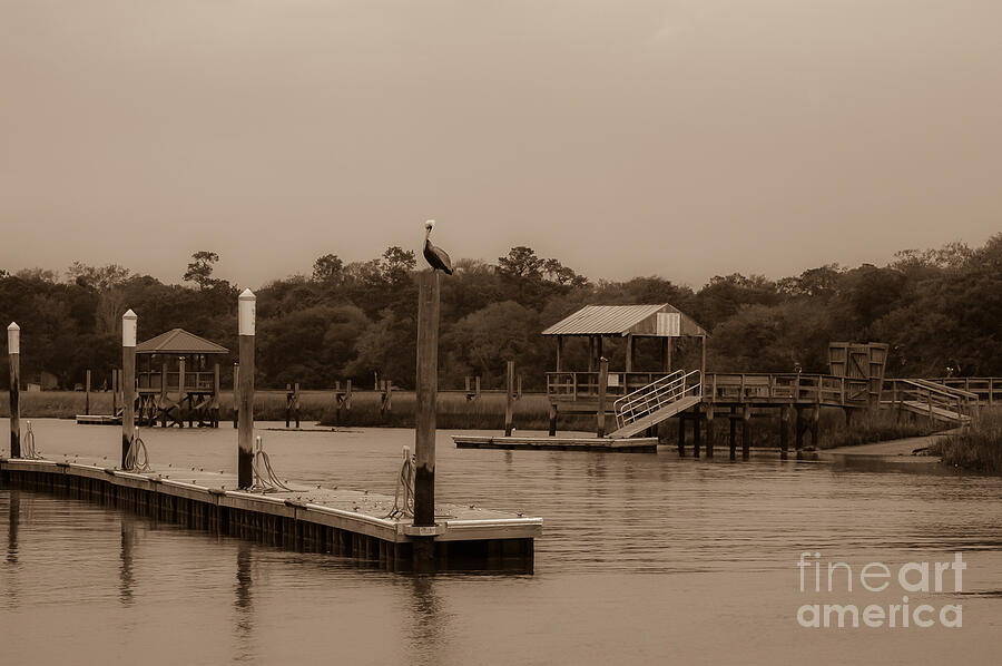 Black And White Photograph - Sepia of Shem Creek by Dale Powell