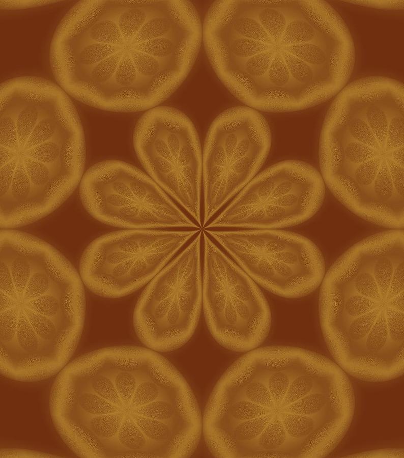 Sepia Oranges Digital Art by Ee Photography