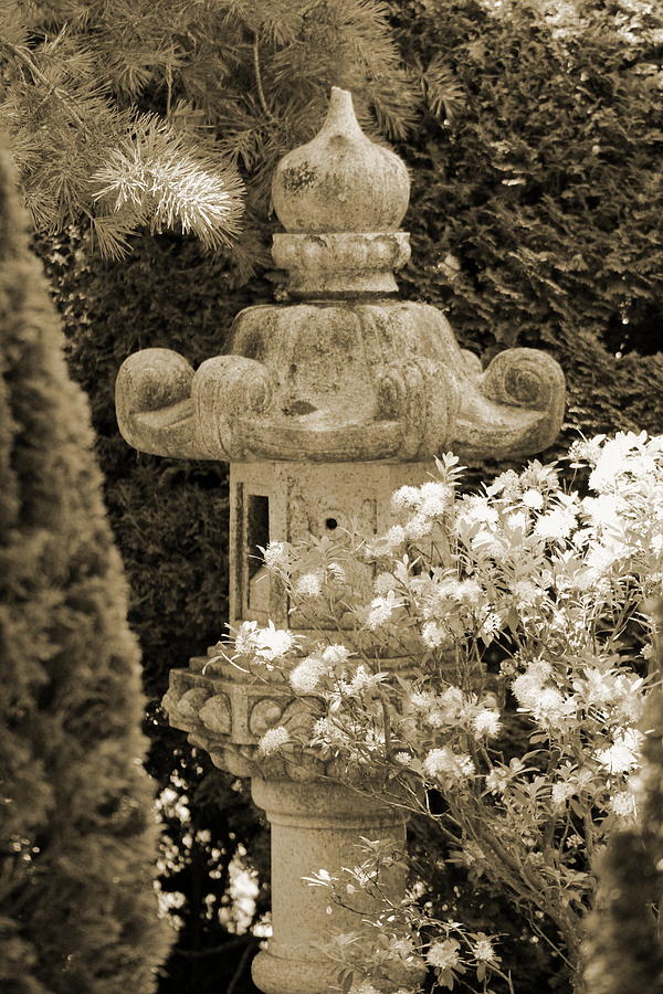 Sepia Pagoda in Japanese Garden Photograph by Colleen Cornelius
