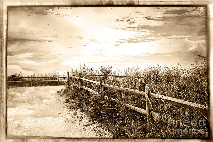 Summer Photograph - Sepia Pathway To The Sea  by Tom Gari Gallery-Three-Photography