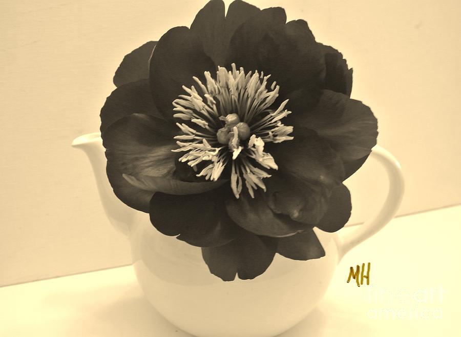 Sepia Peony in a Teapot Photograph by Marsha Heiken