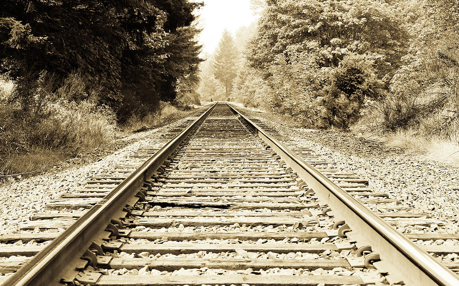 Sepia Railroad Tracks V Photograph by Athena Mckinzie