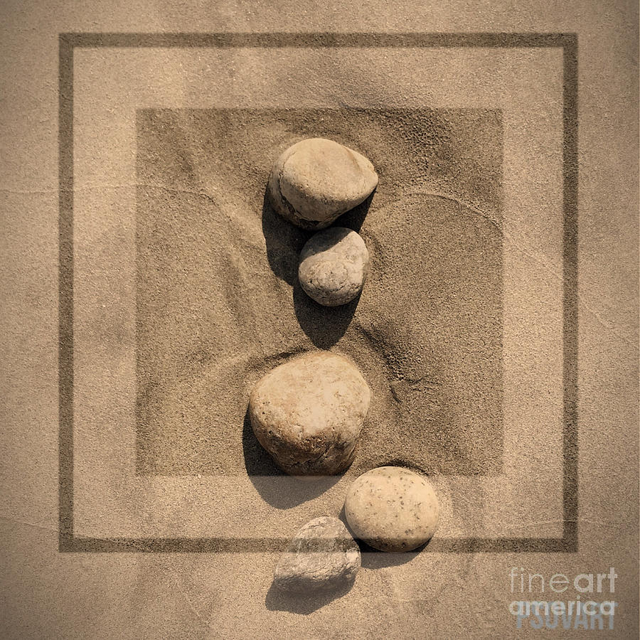 Sepia Rock 1 Photograph by Patty Vicknair