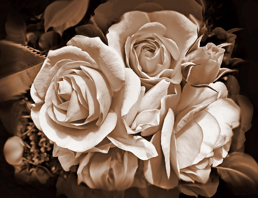 Sepia Rose Flower Bouquet Photograph by Jennie Marie Schell