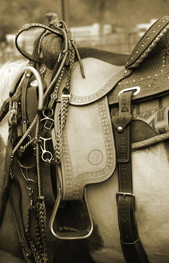 Sepia Saddle Photograph by Teresa Stevens - Fine Art America