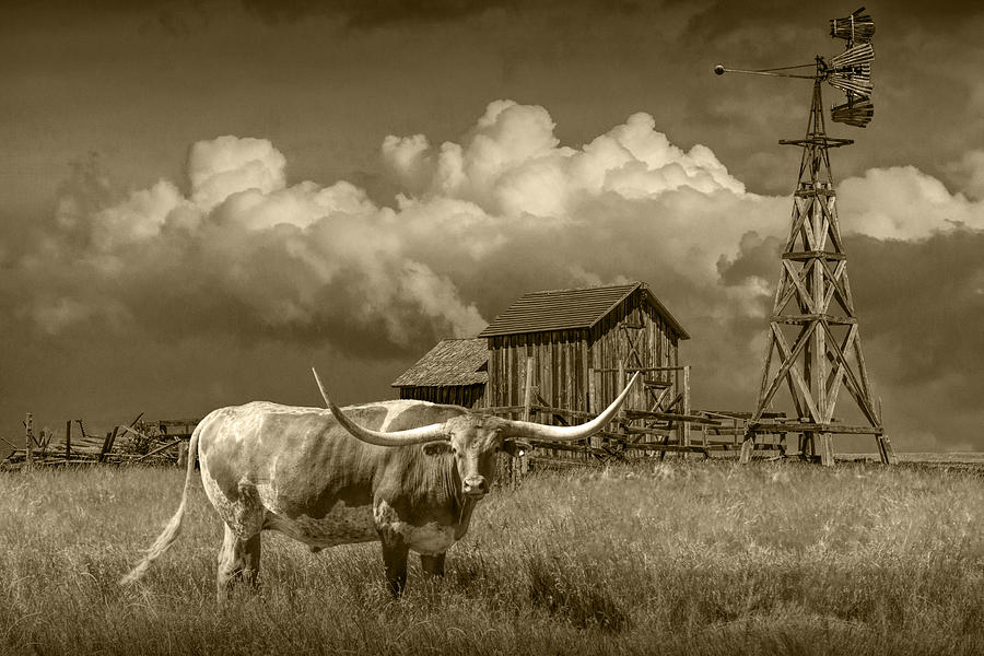 Sepia Tone of a Longhorn Steer in a Prairie Pasture Photograph by Randall Nyhof