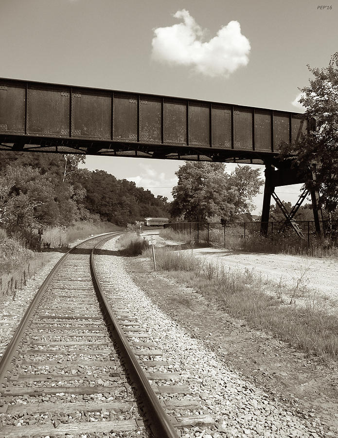 Sepia Tone Train Tracks Photograph by Phil Perkins