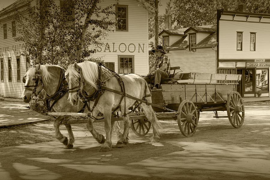 Landscape Photograph - Sepia Toned Horse Team with Wagon by Randall Nyhof