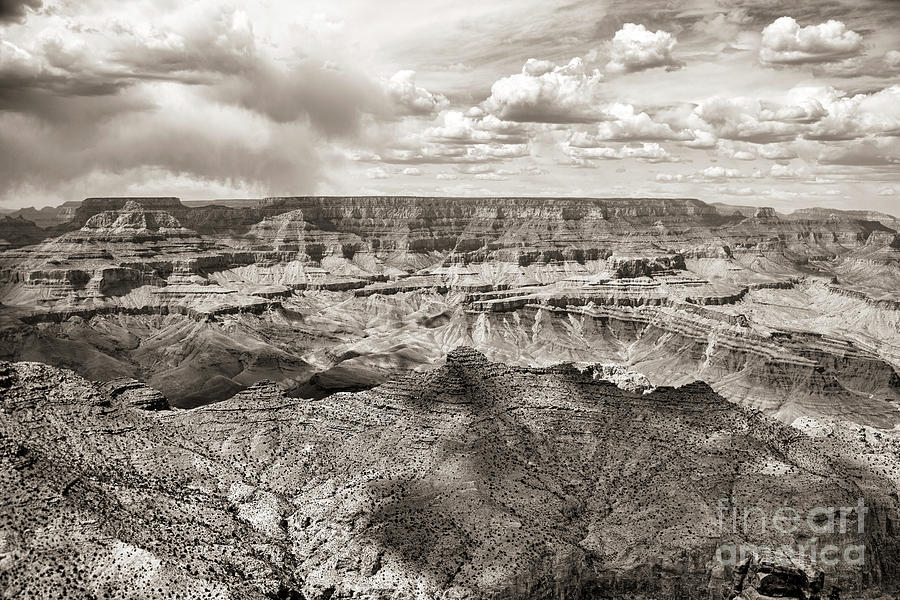 Grand Canyon National Park Photograph - Sepia Tones Grand Canyon  by Chuck Kuhn