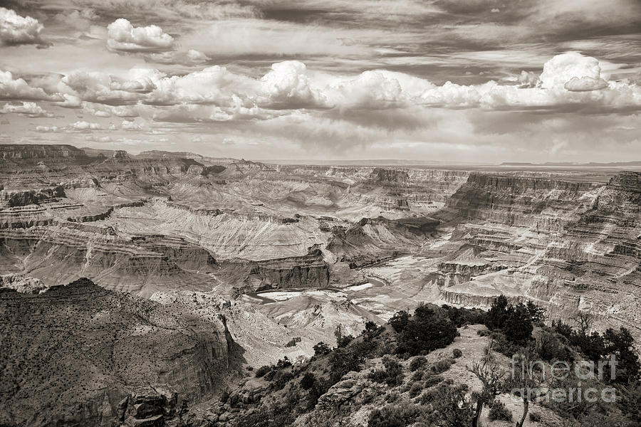 Grand Canyon National Park Photograph - Sepia Tones Grand Canyon II by Chuck Kuhn