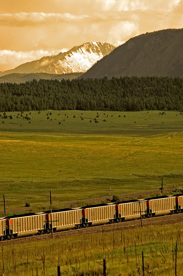Train Photograph - Sepia Train by Kevin Munro