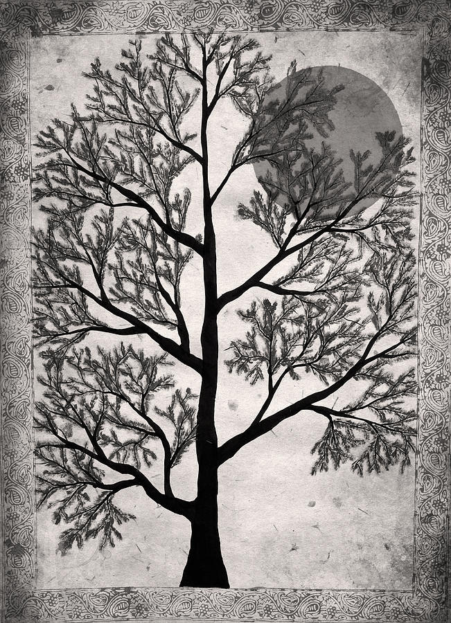 Sepia Tree Photograph by Sumit Mehndiratta
