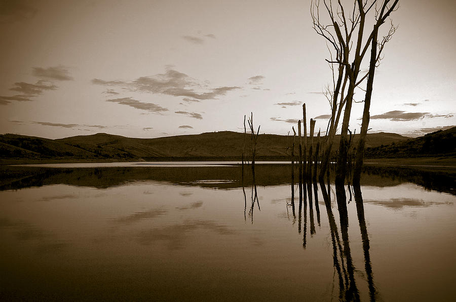 Sepia Twilight Photograph by James Steele