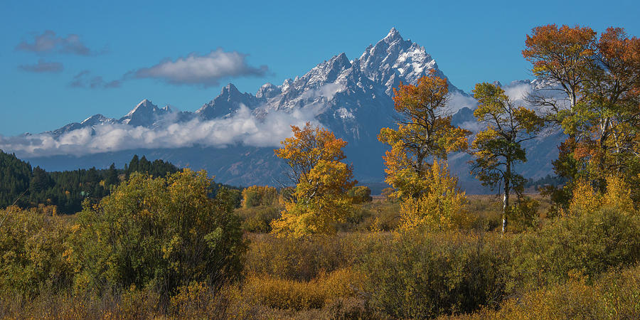 September Colors In Grand Teton National Park Photograph by Yeates Photography