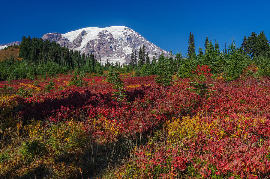 September Glory Photograph by Wayne Johnson - Fine Art America