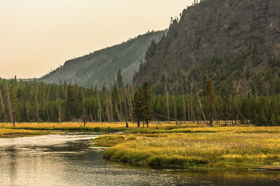 September Gold In Yellowstone Park Photograph by Yeates Photography