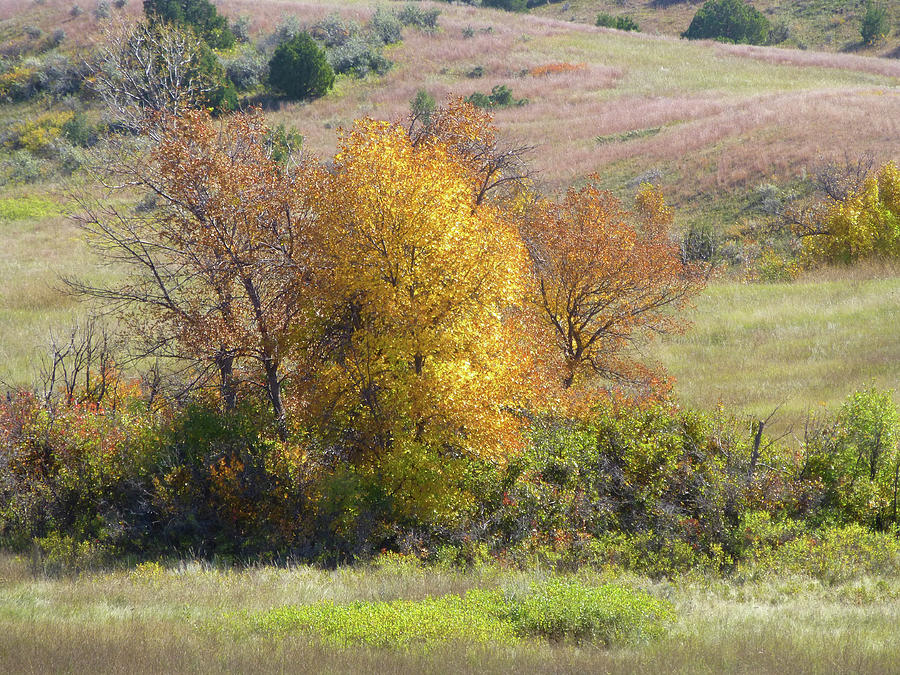 September in Dakota West Photograph by Cris Fulton