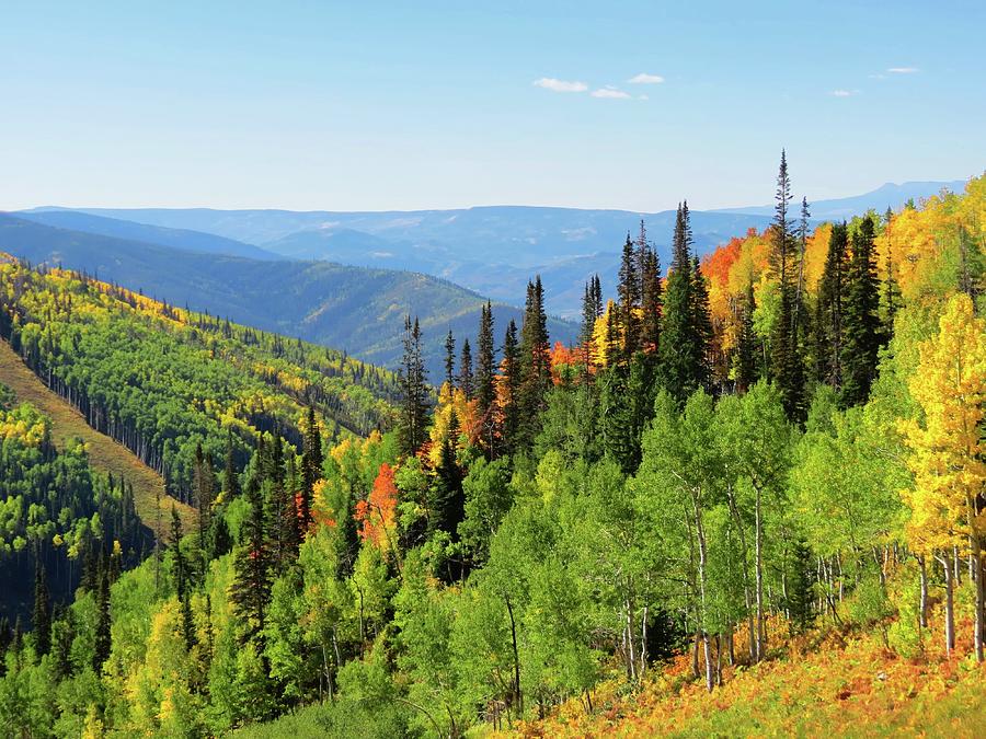September in Steamboat Springs Photograph by Connor Beekman